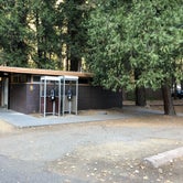 Review photo of North Pines Campground — Yosemite National Park by Erin S., November 1, 2019