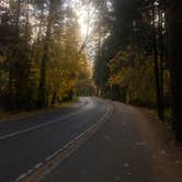 Review photo of North Pines Campground — Yosemite National Park by Erin S., November 1, 2019