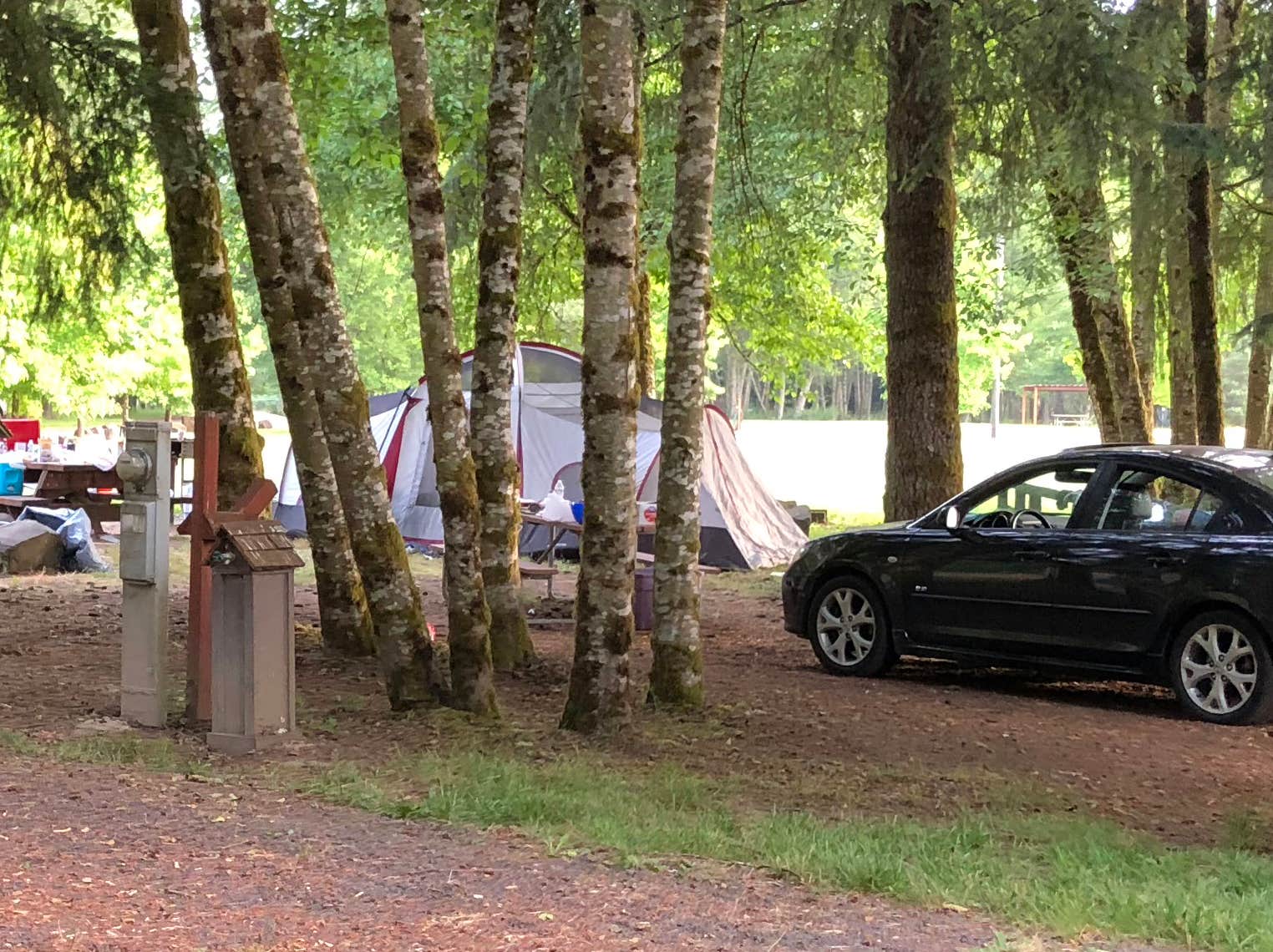 Corinna B.'s photo at Toutle River RV Resort near Toledo, WA