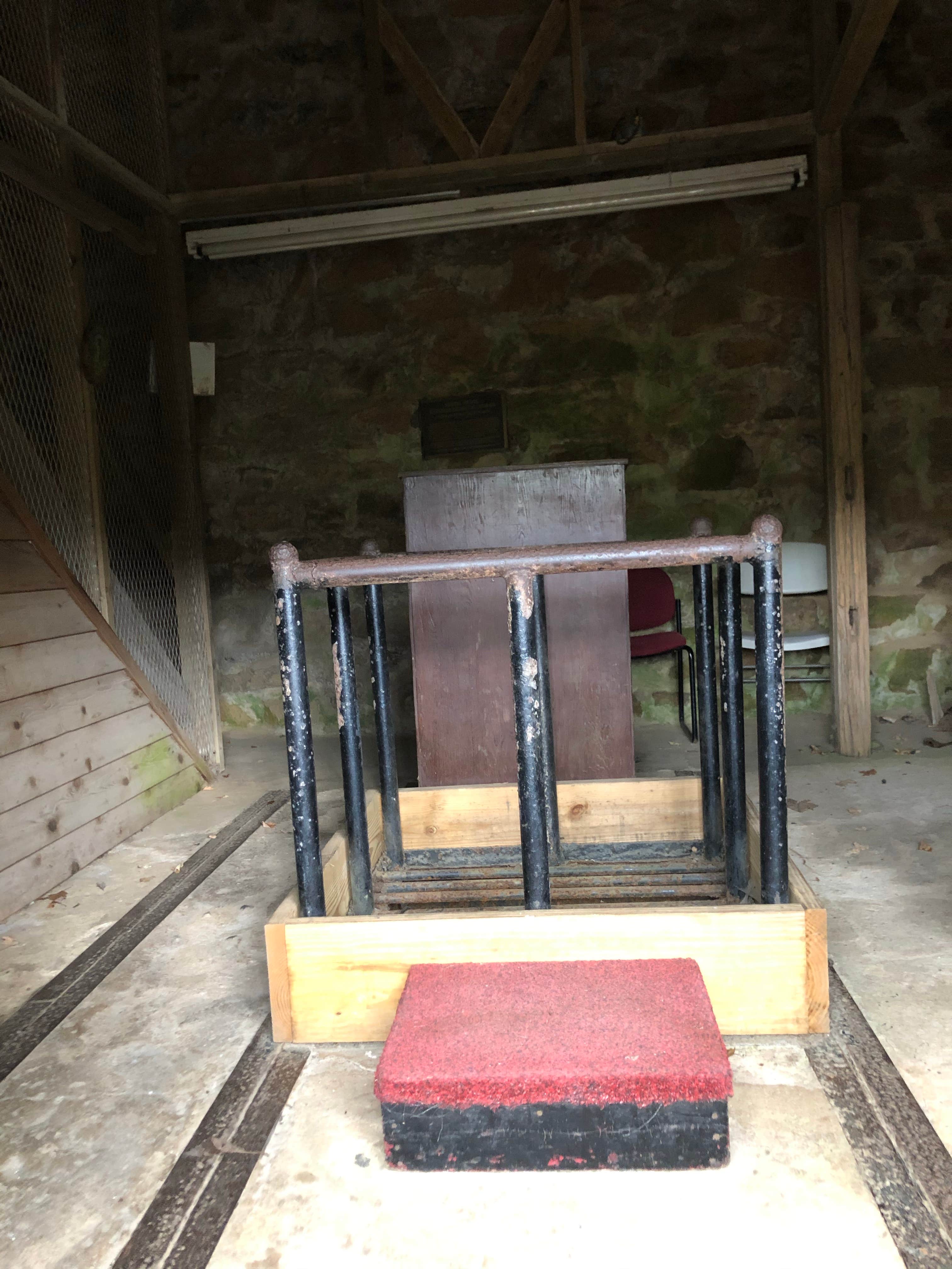 Camper-submitted photo at Millrace Campground — New River Trail State Park near Elk Creek, VA