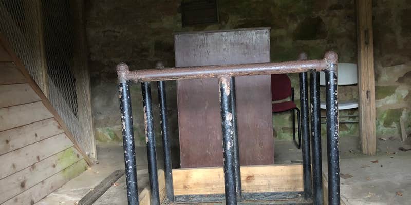 Camper submitted image from Millrace Campground — New River Trail State Park