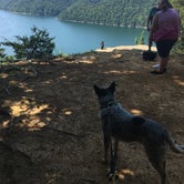 Review photo of Dale Hollow Lake State Resort Park by Shelly S., August 20, 2017