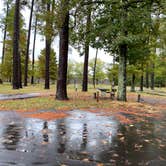 Review photo of Chickasaw State Park Campground by Shana D., November 1, 2019