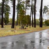 Review photo of Chickasaw State Park Campground by Shana D., November 1, 2019