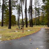 Review photo of Chickasaw State Park Campground by Shana D., November 1, 2019