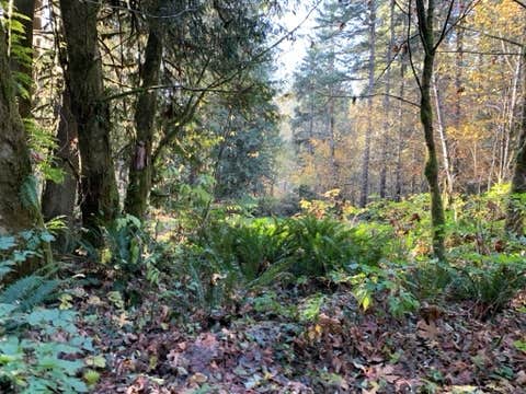 Camper-submitted photo at Rasar State Park Campground near Mount Vernon, WA