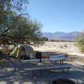 Review photo of Furnace Creek Campground — Death Valley National Park by Adam J., November 1, 2019