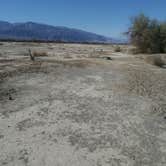 Review photo of Furnace Creek Campground — Death Valley National Park by Adam J., November 1, 2019