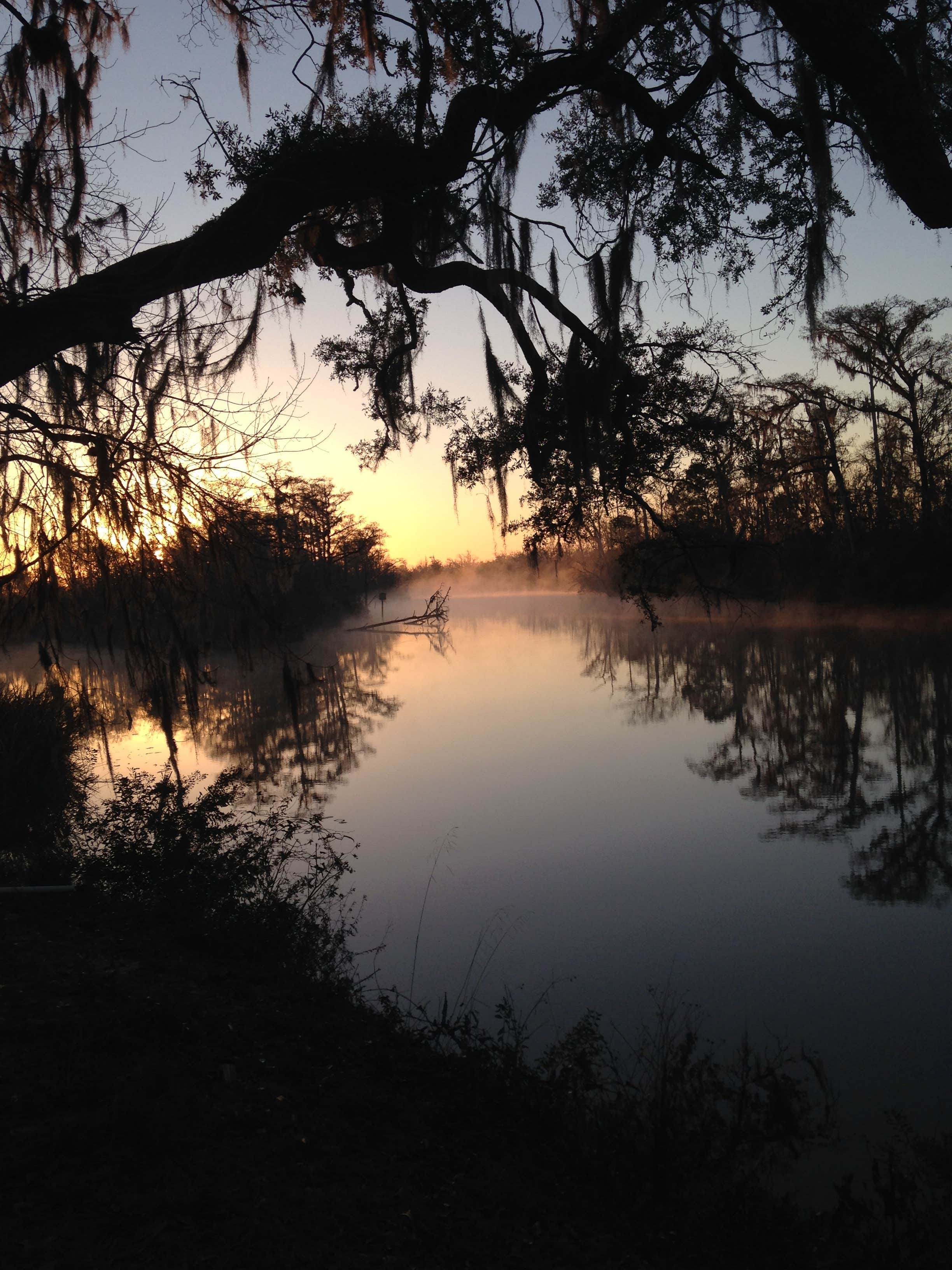 Camper submitted image from Live Oak Landing - 3