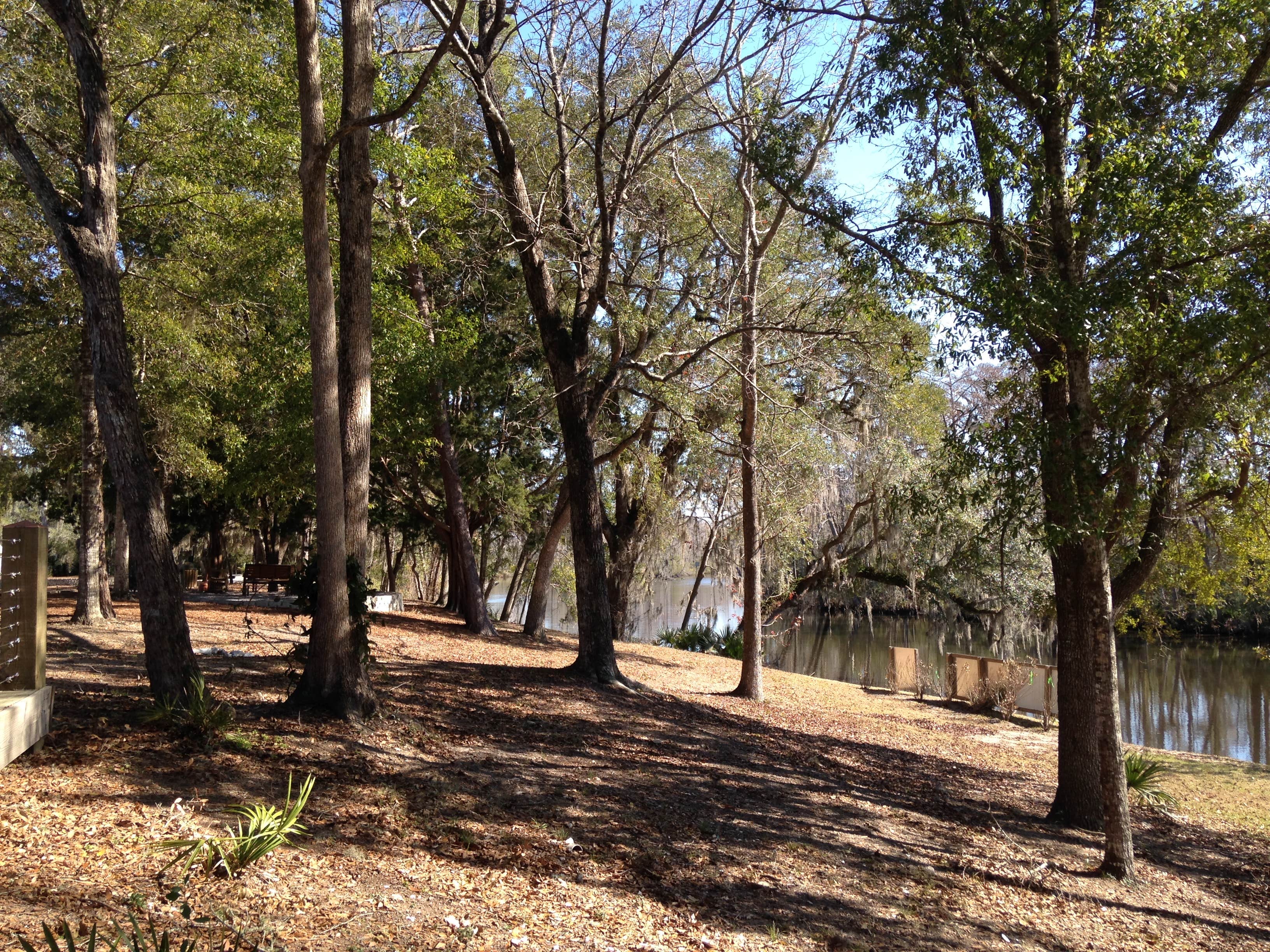 Camper-submitted photo at Live Oak Landing near Destin, FL