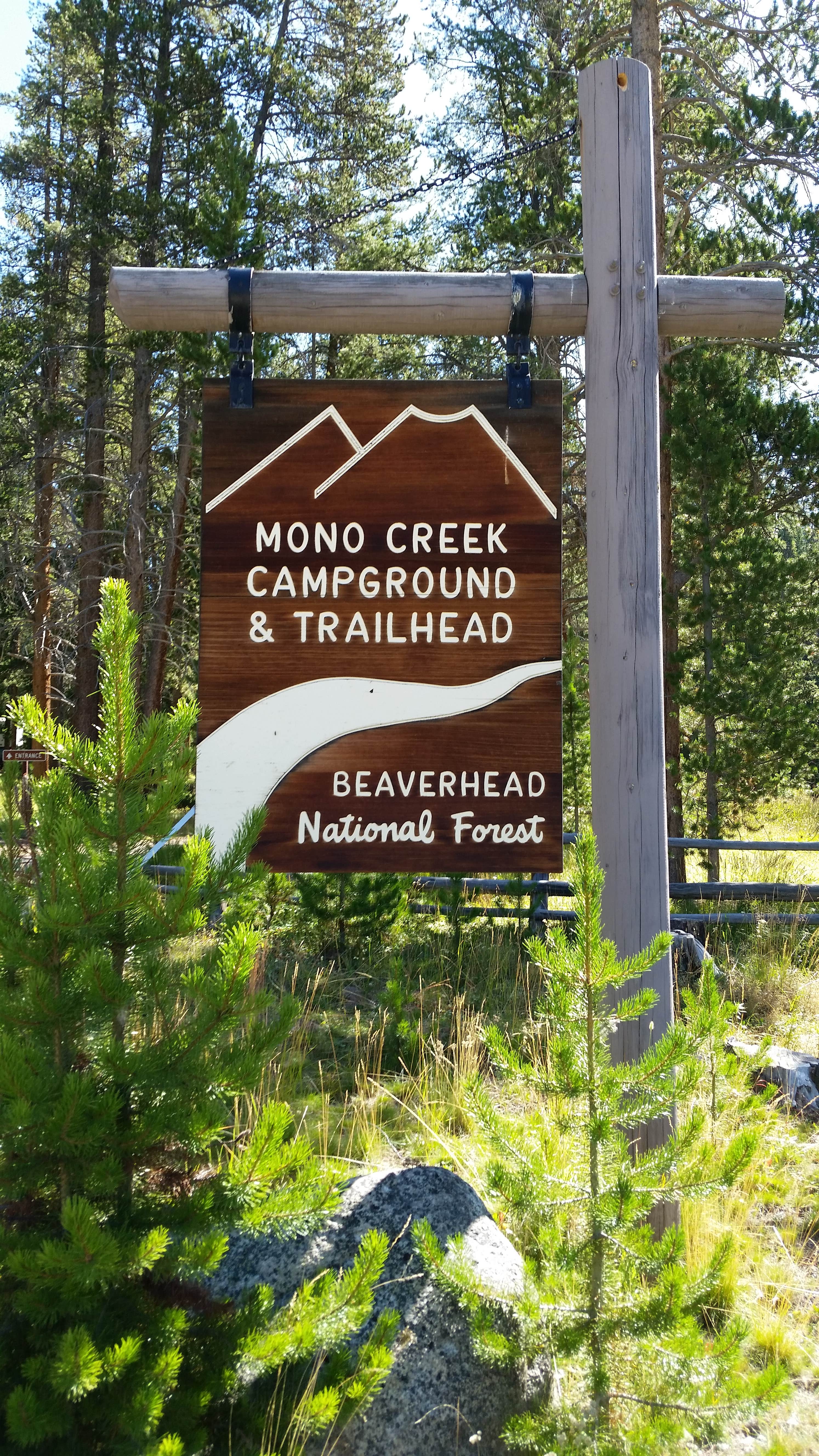 Camper submitted image from Mono Creek - 4