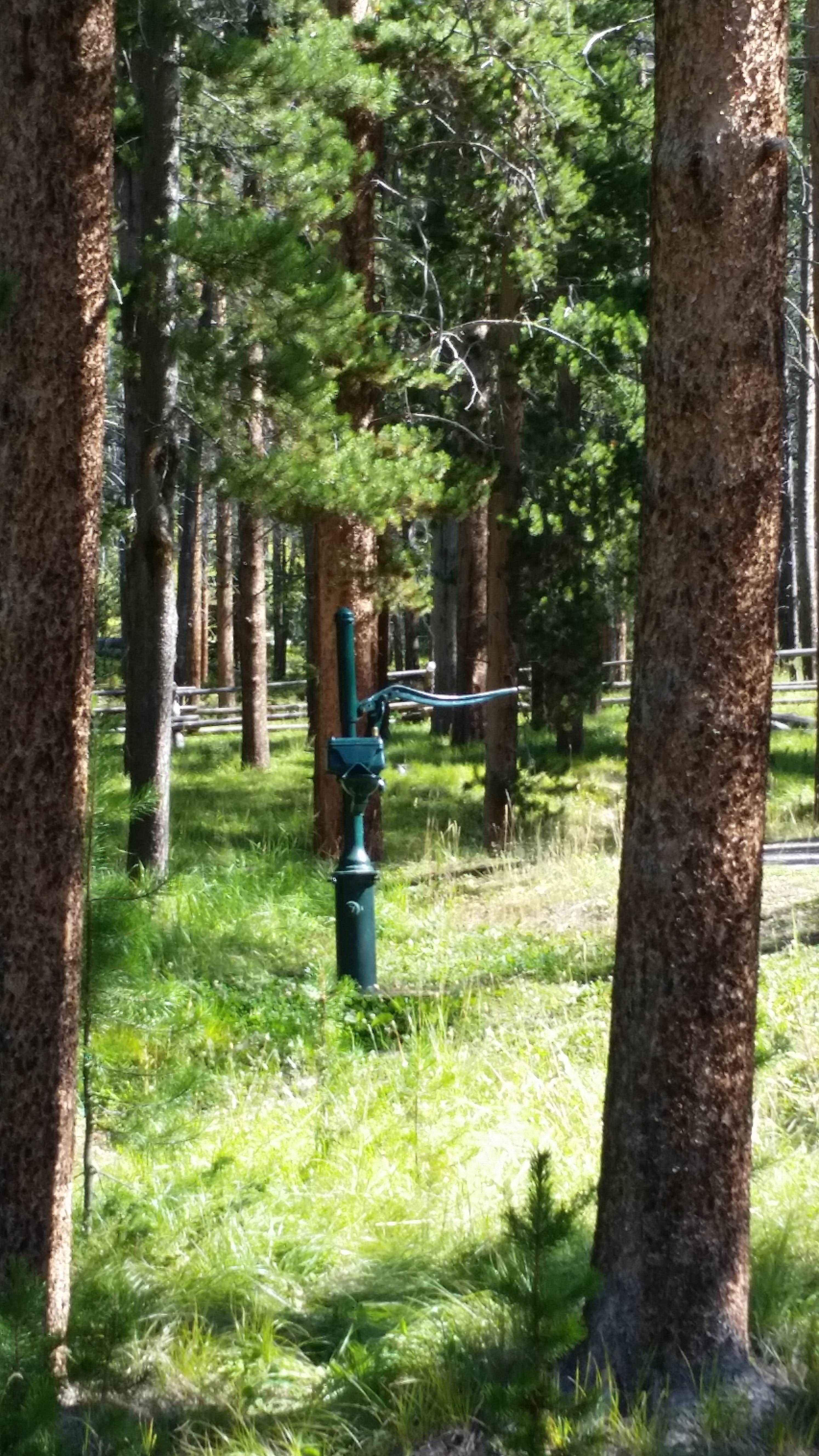 Camper submitted image from Mono Creek - 5