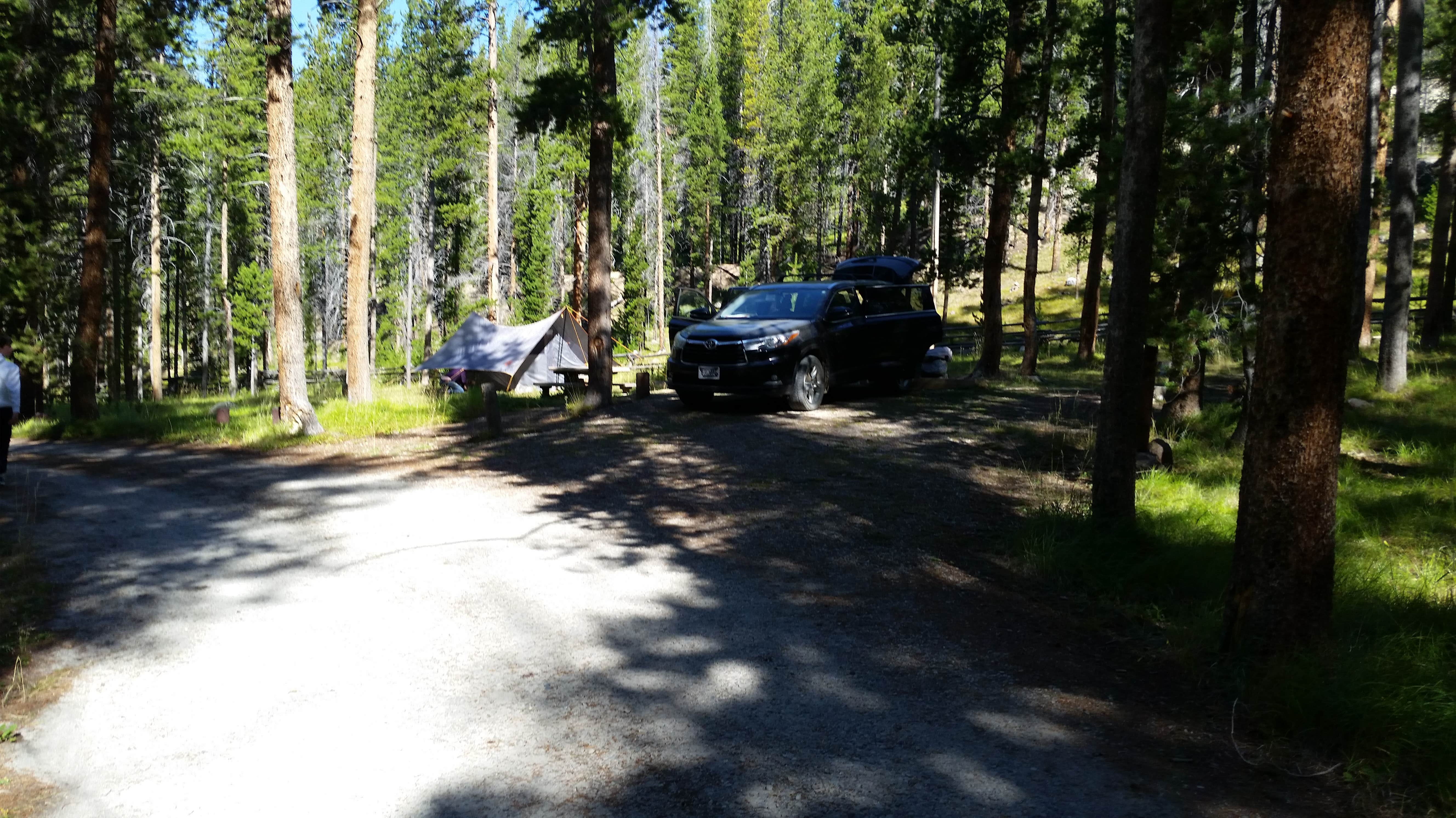 Camper submitted image from Mono Creek - 5