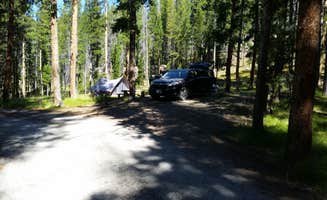 Dexter I.'s photo at Mono Creek near Mono Hot Springs, CA