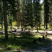 Review photo of Mono Creek Campground by Dexter I., November 2, 2019