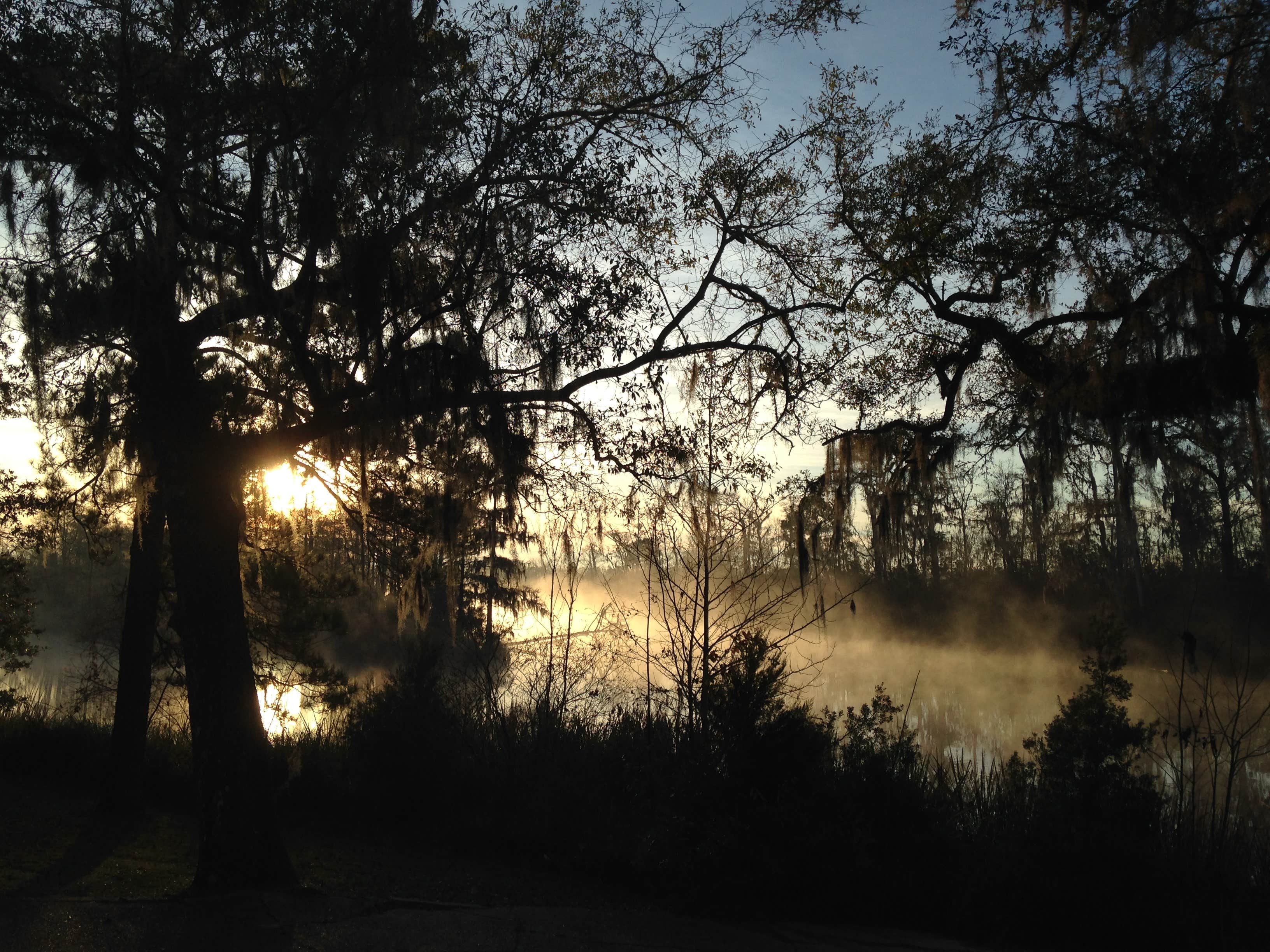 Camper submitted image from Live Oak Landing - 1