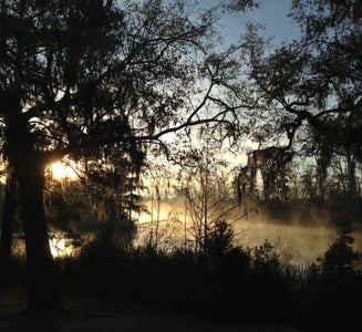 Camper-submitted photo from Live Oak Landing