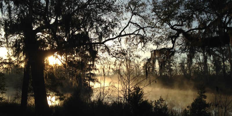 Camper submitted image from Live Oak Landing