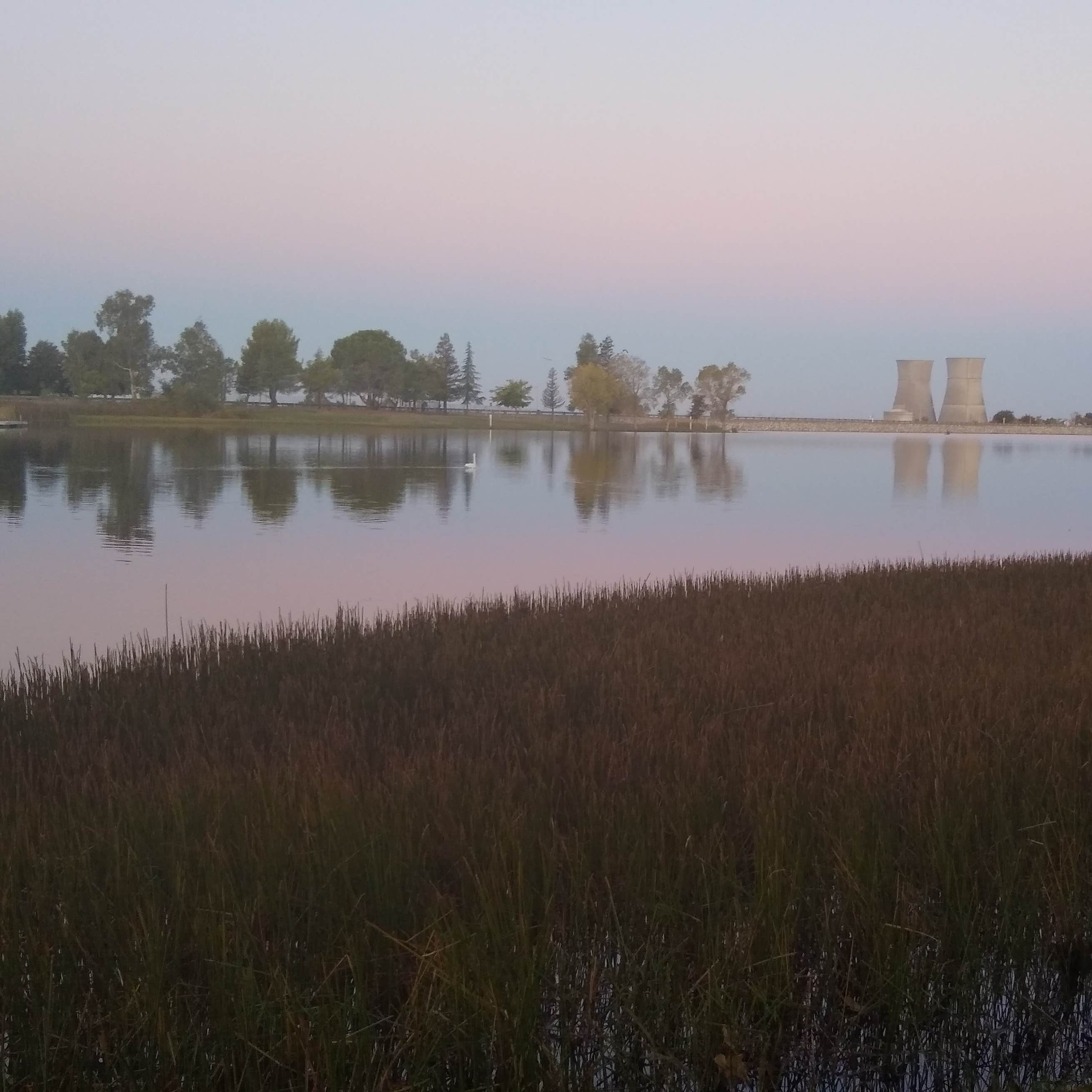 Rancho Seco Recreational Area The Dyrt