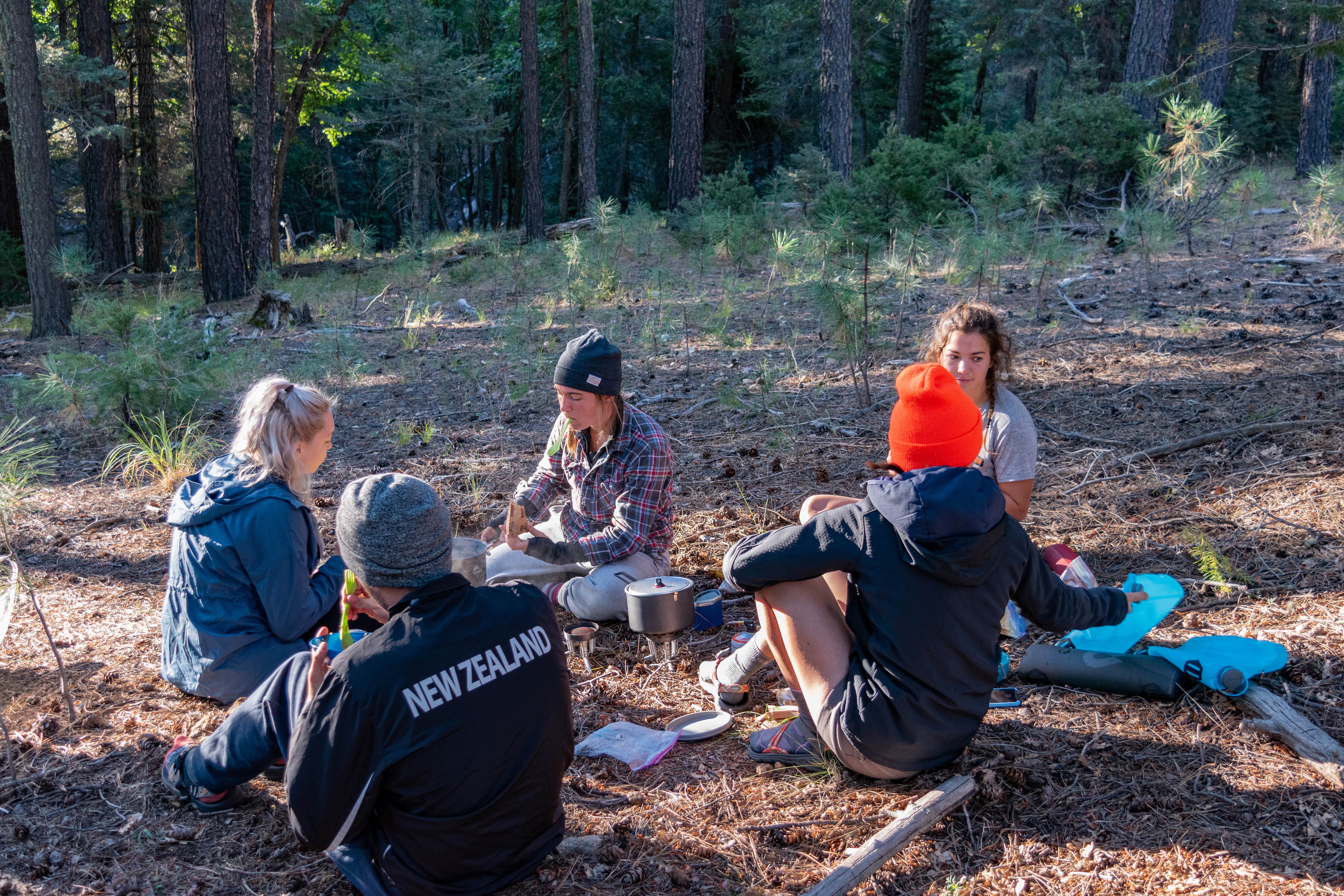 Camper submitted image from Mogollon Campground - 5