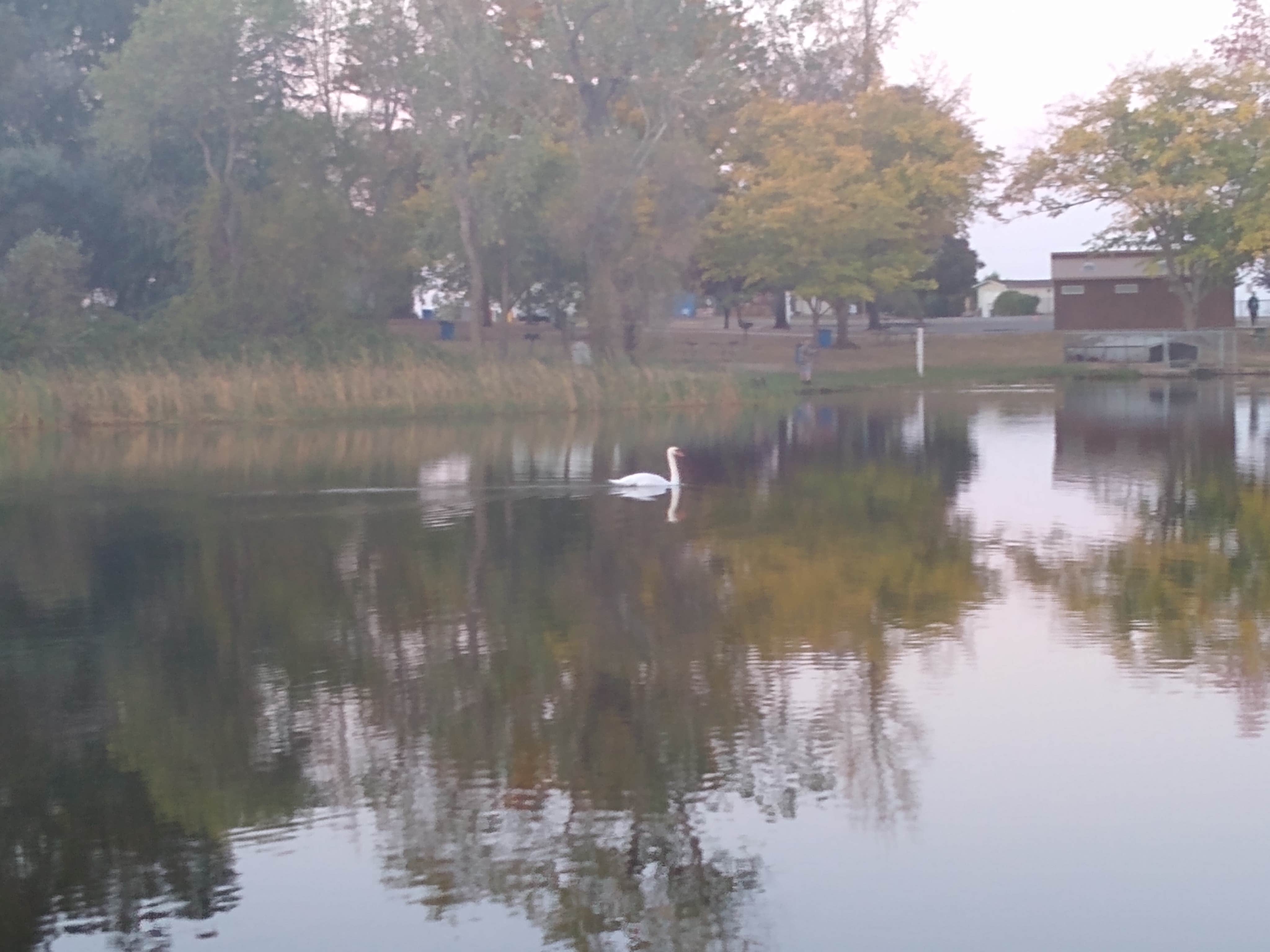 Camper-submitted photo at Rancho Seco Recreation Area near Rancho Murieta, CA