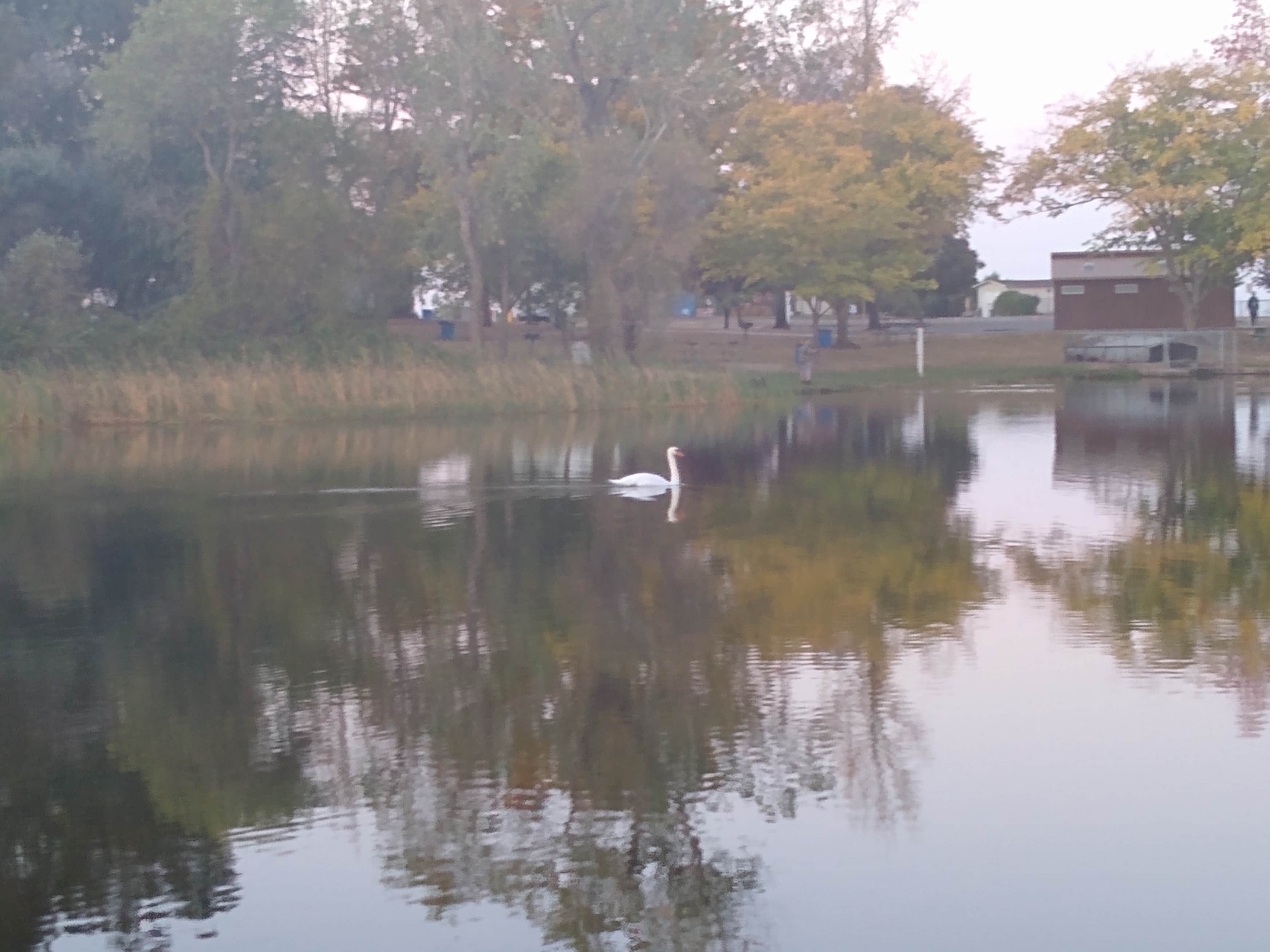 Be aware the main gate closes early, but there is a call button and someone will let you in. Rancho Seco Recreation Area The Dyrt