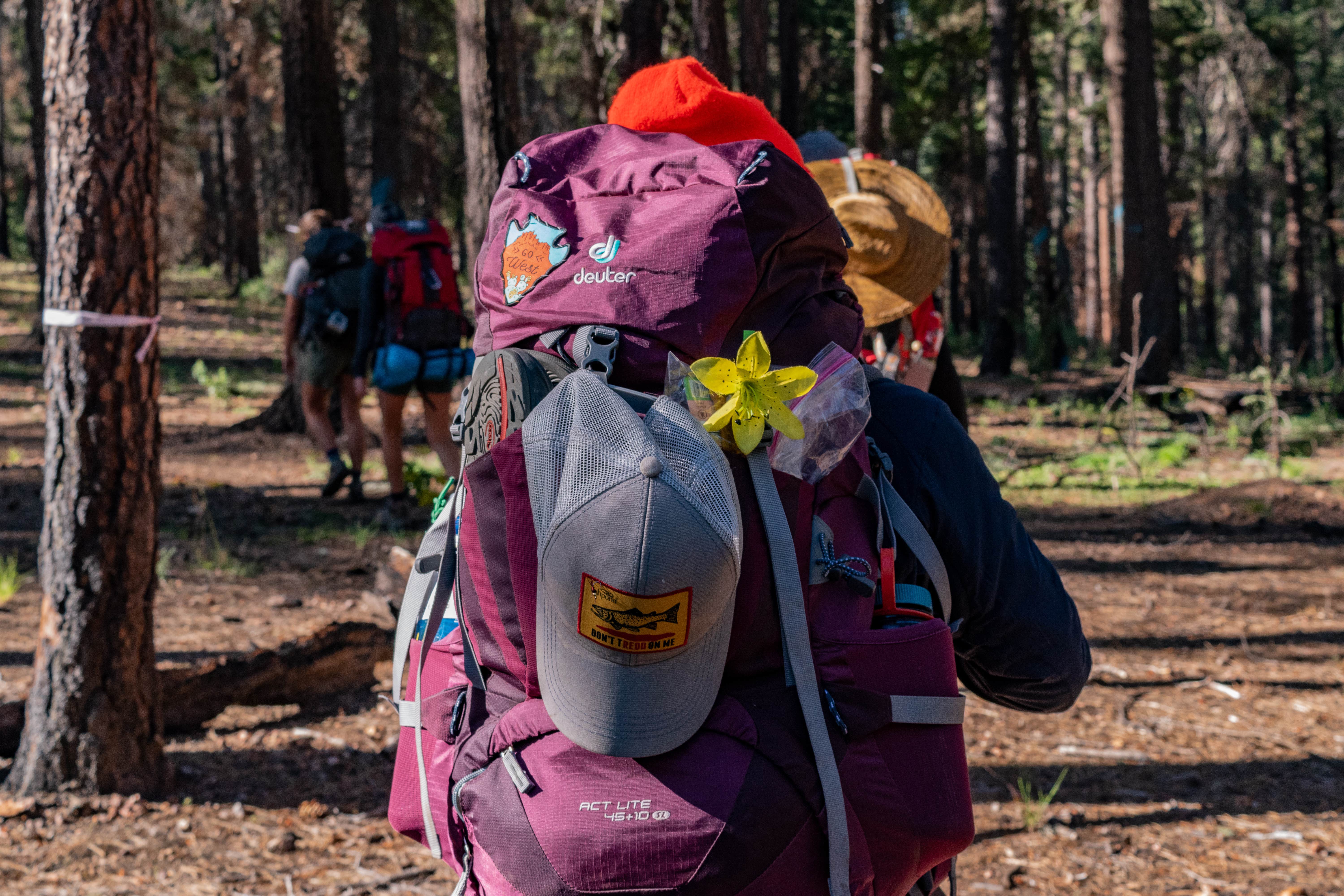 Joffrey H.'s photo of camping with a horse at Mogollon Campground near Kohls Ranch, AZ
