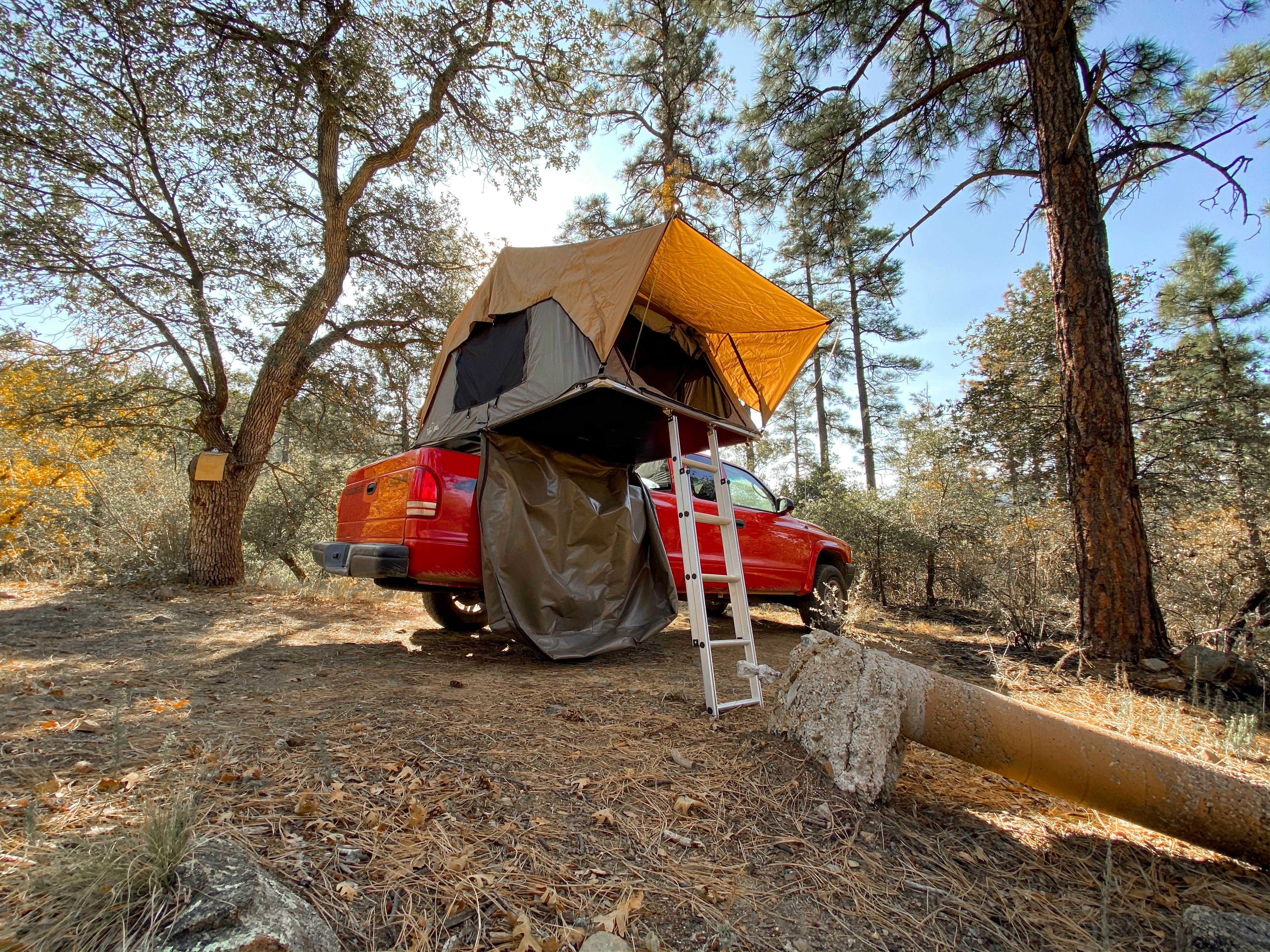 Lower Wolf Creek Campground The Dyrt