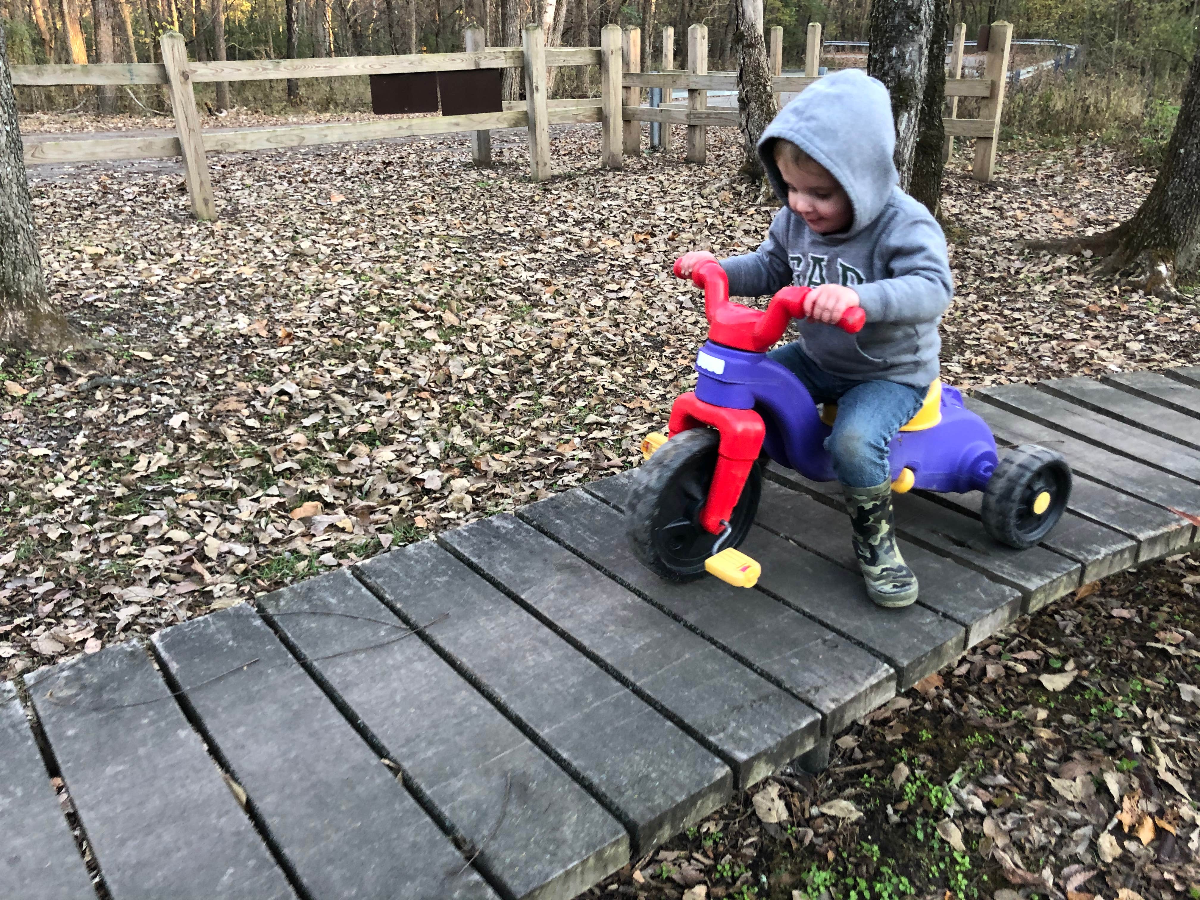 Camper-submitted photo at Finger Lakes State Park Campground near Holliday, MO
