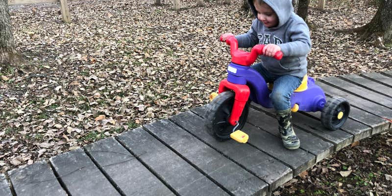 Camper submitted image from Finger Lakes State Park Campground