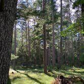 Review photo of Schoolcraft State Park Campground by Meg W., November 3, 2019