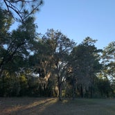 Review photo of Magnolia Springs State Park Campground by Meg W., November 3, 2019