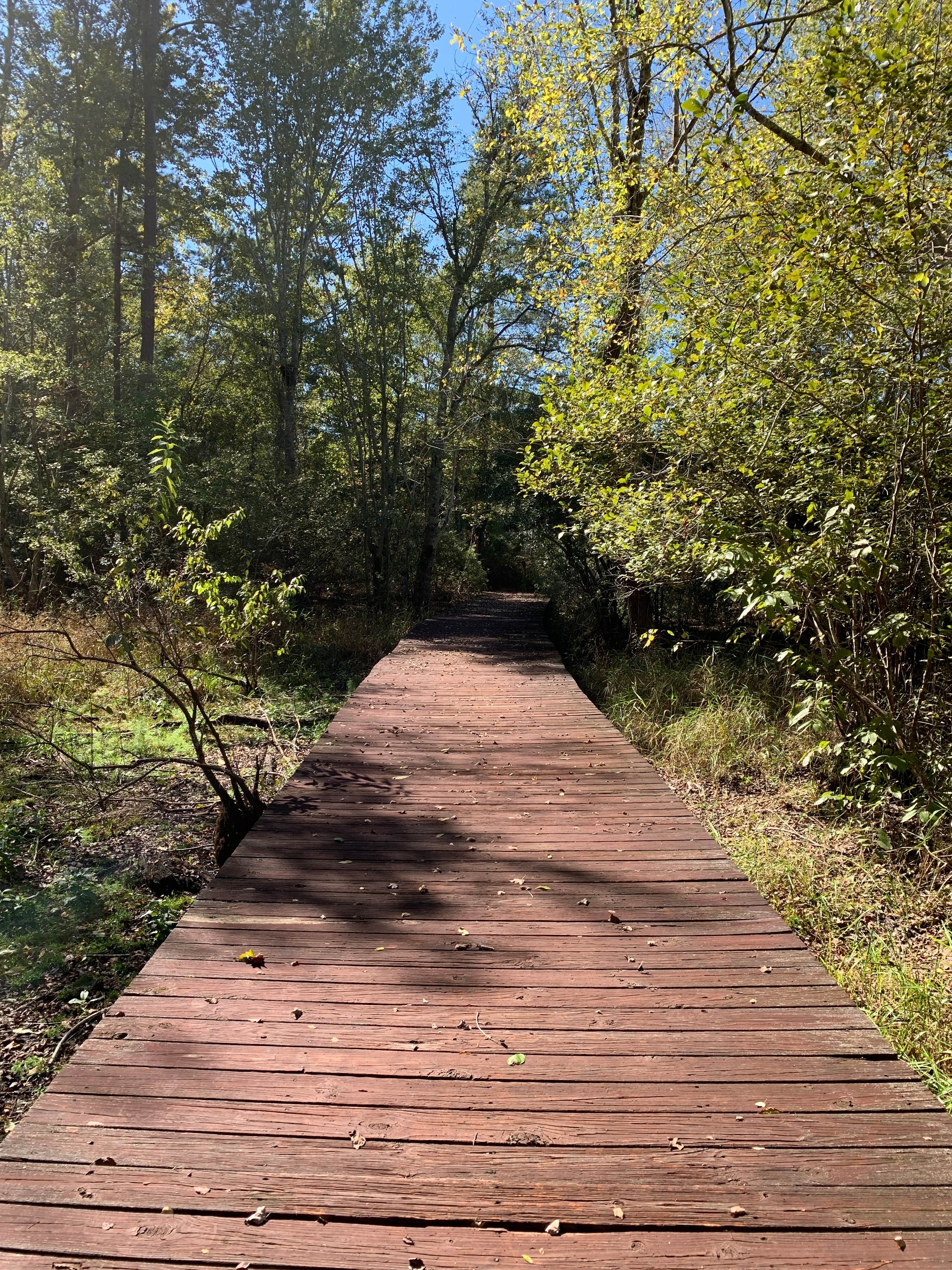 Camper-submitted photo at Magnolia Springs State Park Campground near Aiken, SC