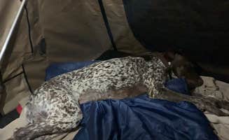 Allen S.'s photo at Frisco Campground — Cape Hatteras National Seashore near Buxton, NC