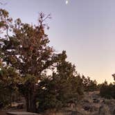 Review photo of Indian Well Campground — Lava Beds National Monument by The School for  Y., November 3, 2019