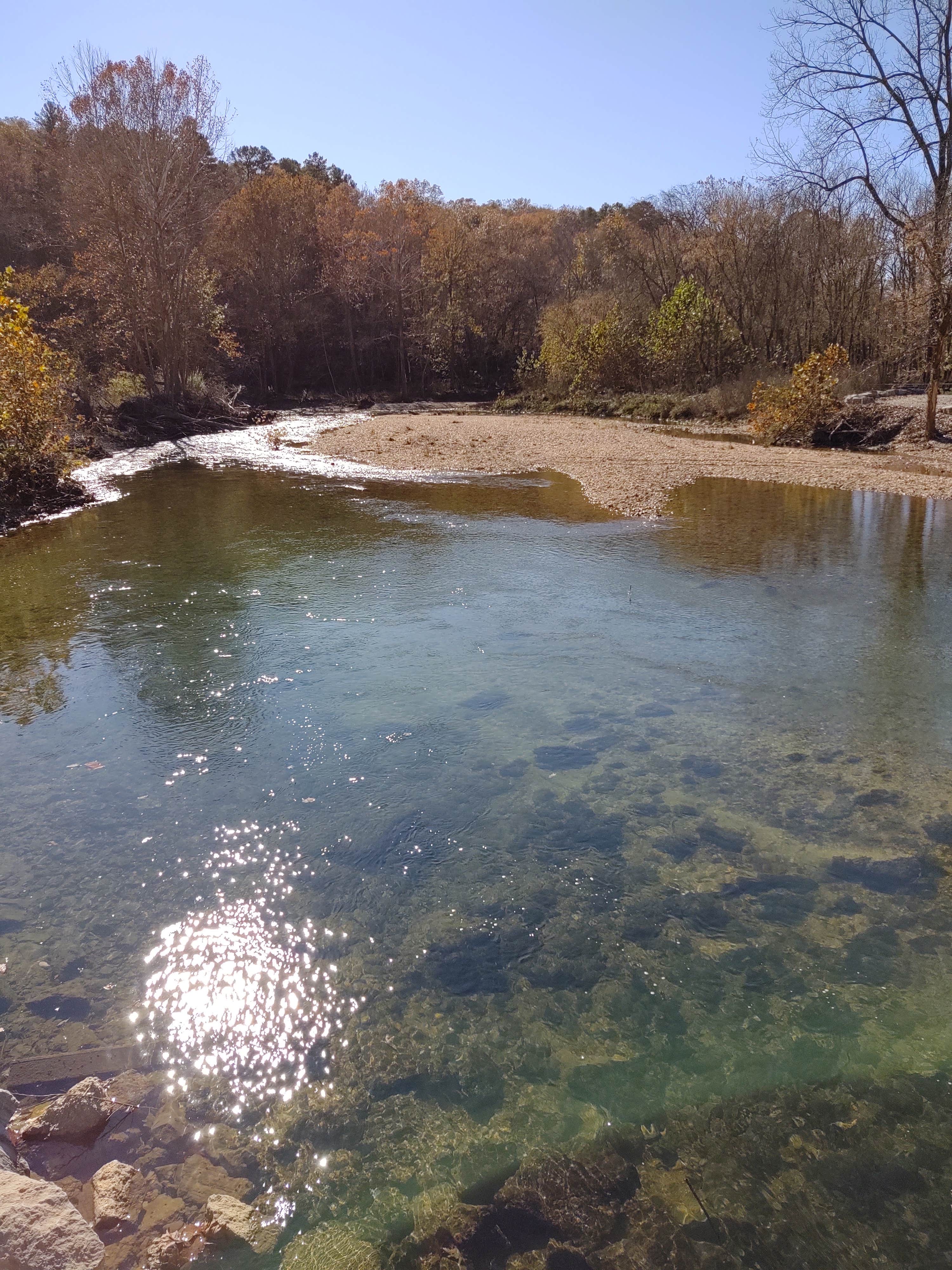 Camper submitted image from Rippee Conservation Area - 5