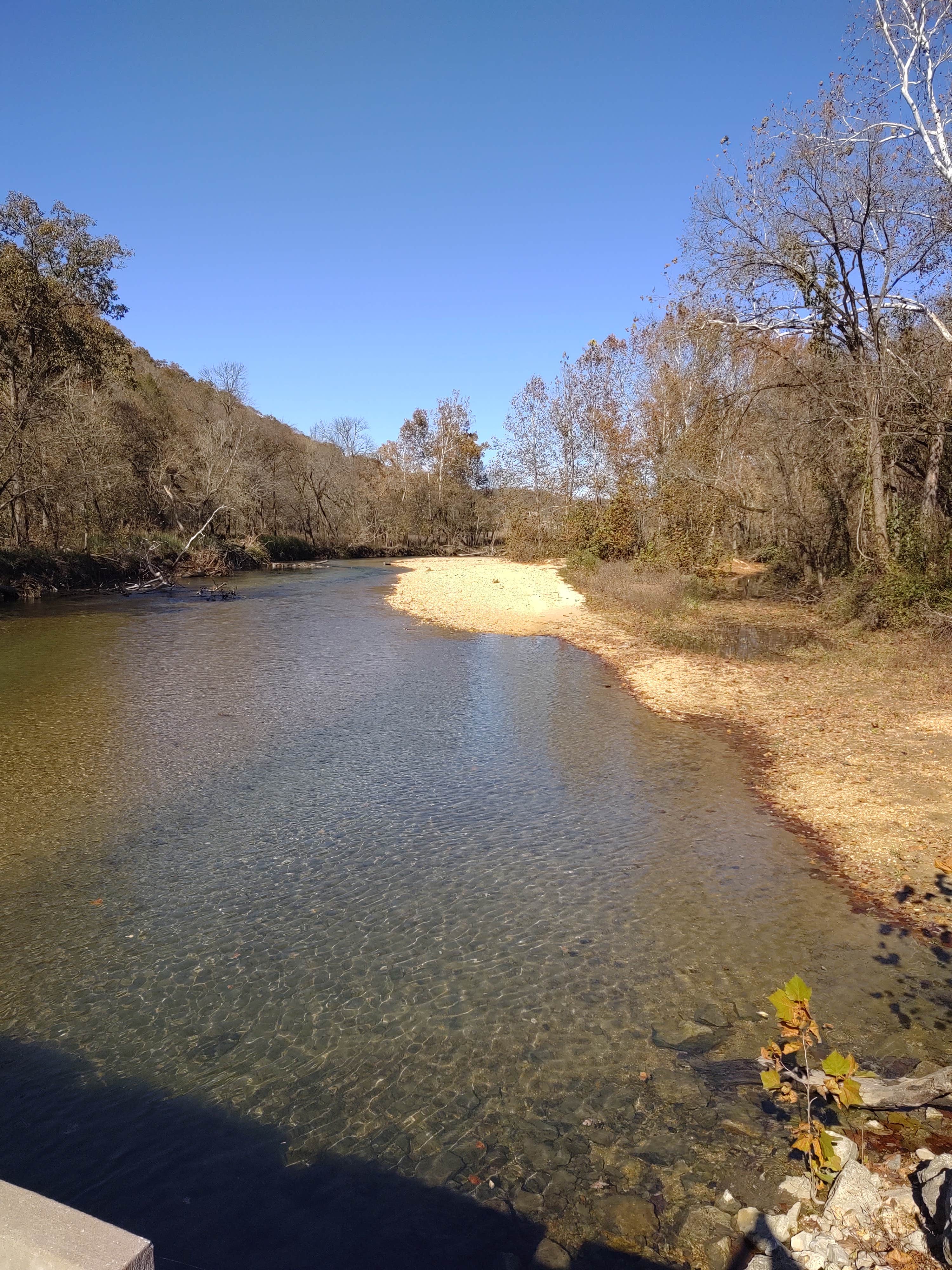 Camper submitted image from Rippee Conservation Area - 2