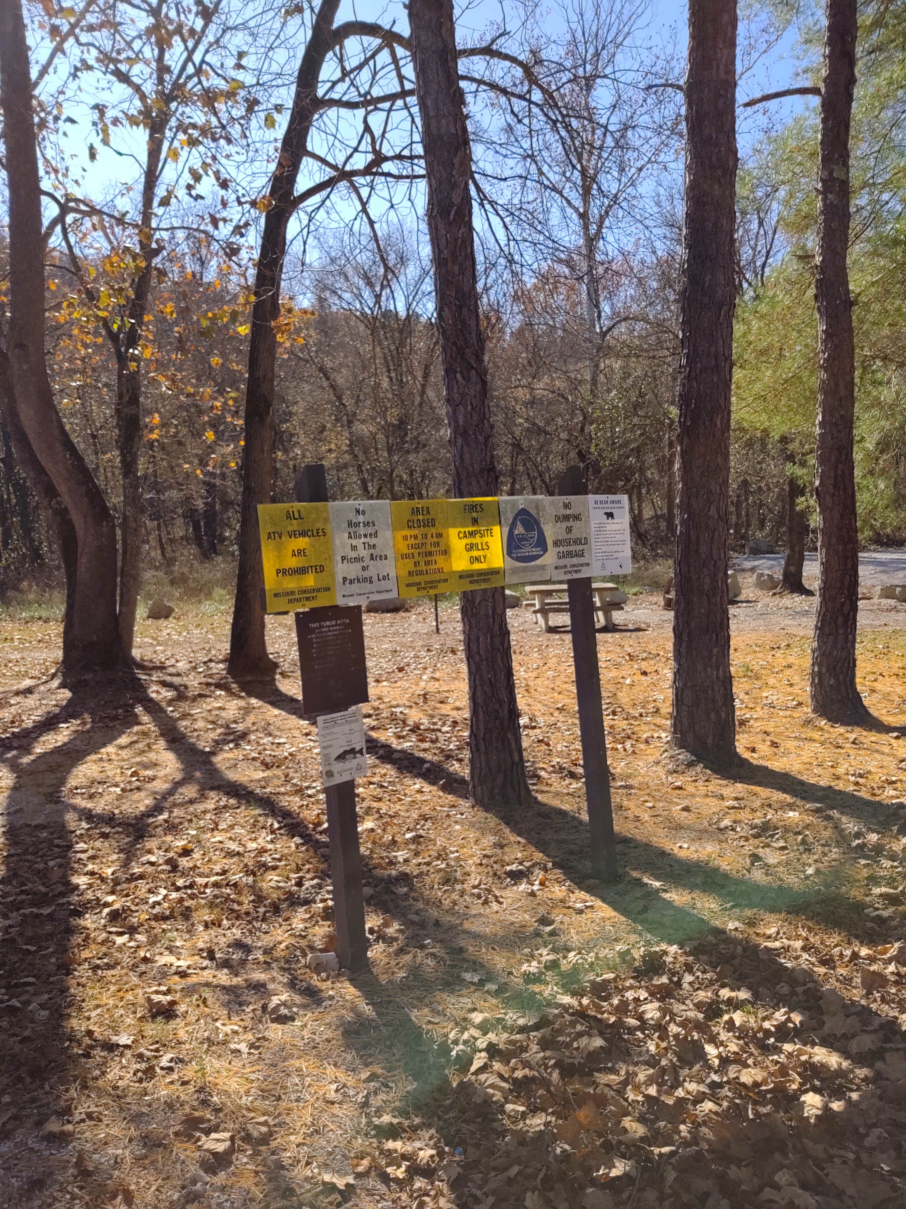 Camper-submitted photo at Rippee Conservation Area near Mansfield, MO