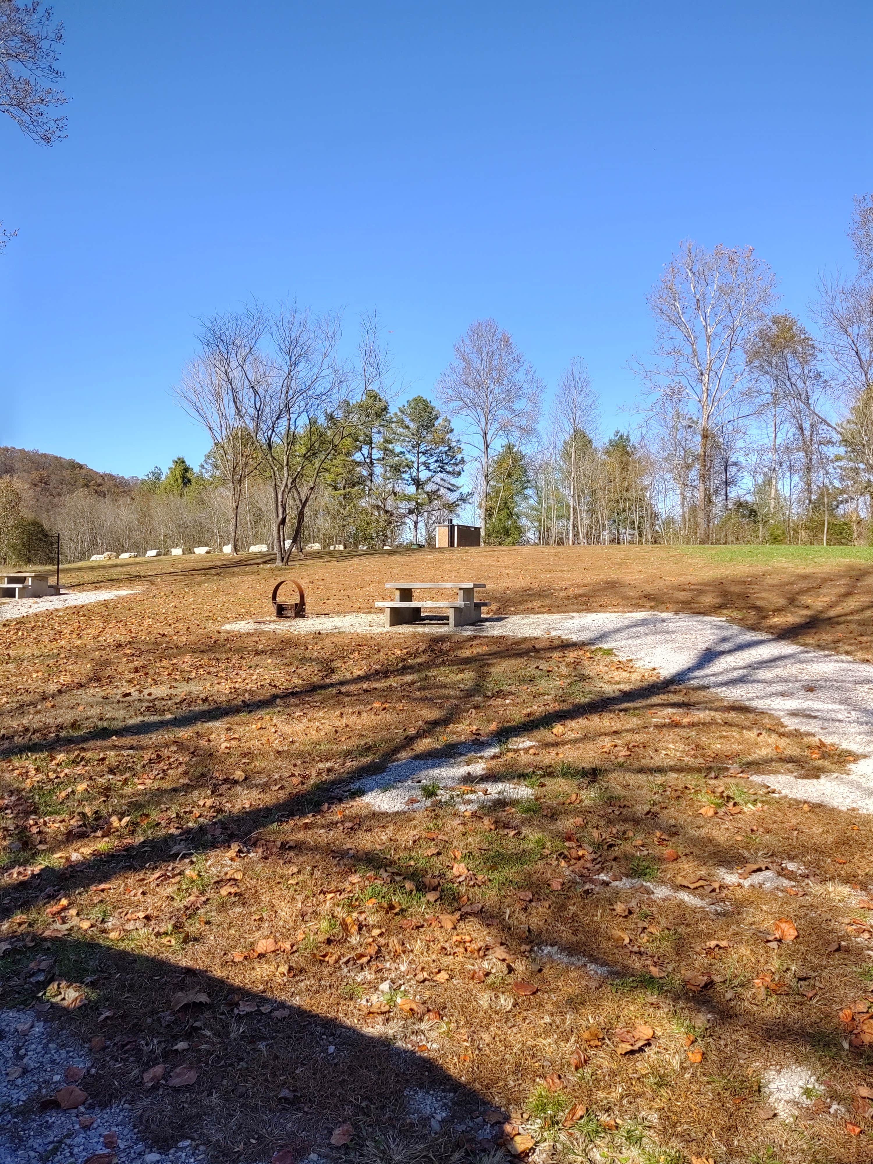 Camper-submitted photo at Rippee Conservation Area near Mansfield, MO