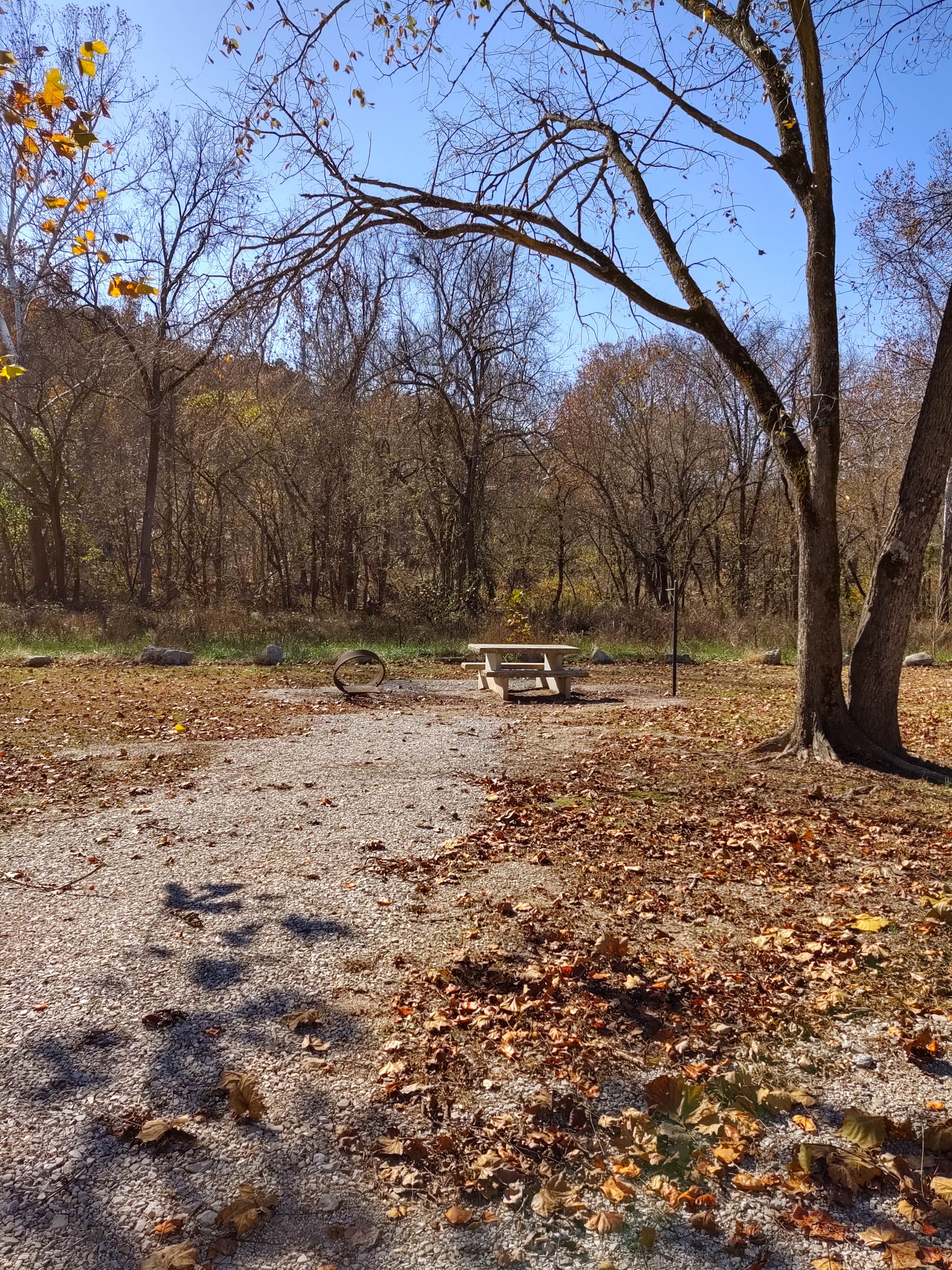 Camper-submitted photo at Rippee Conservation Area near Mansfield, MO
