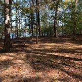 Review photo of Killens Pond State Park by Laure D., November 4, 2019