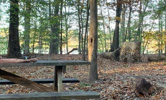 Camping near Adventures Await Retreat: Killens Pond State Park Campground, Felton, Delaware