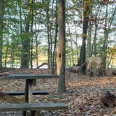 Review photo of Killens Pond State Park Campground by Laure D., November 4, 2019