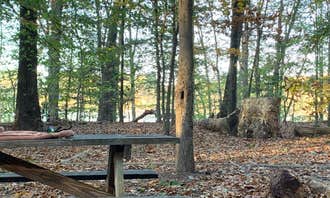 Camping near Outstanding Dreams Alpaca Farm: Killens Pond State Park Campground, Felton, Delaware