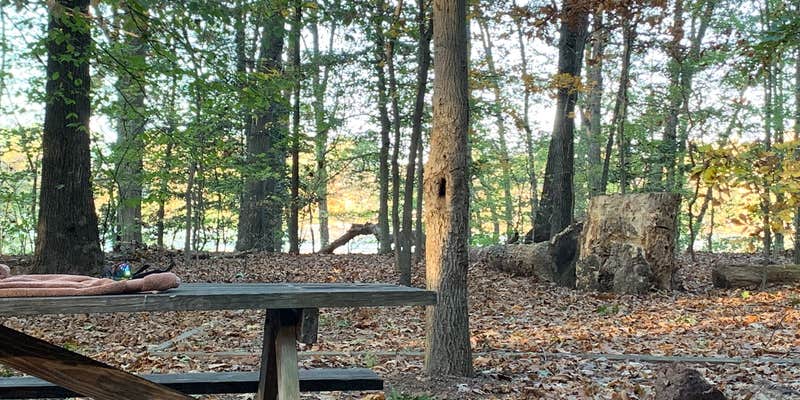 Camper submitted image from Killens Pond State Park Campground