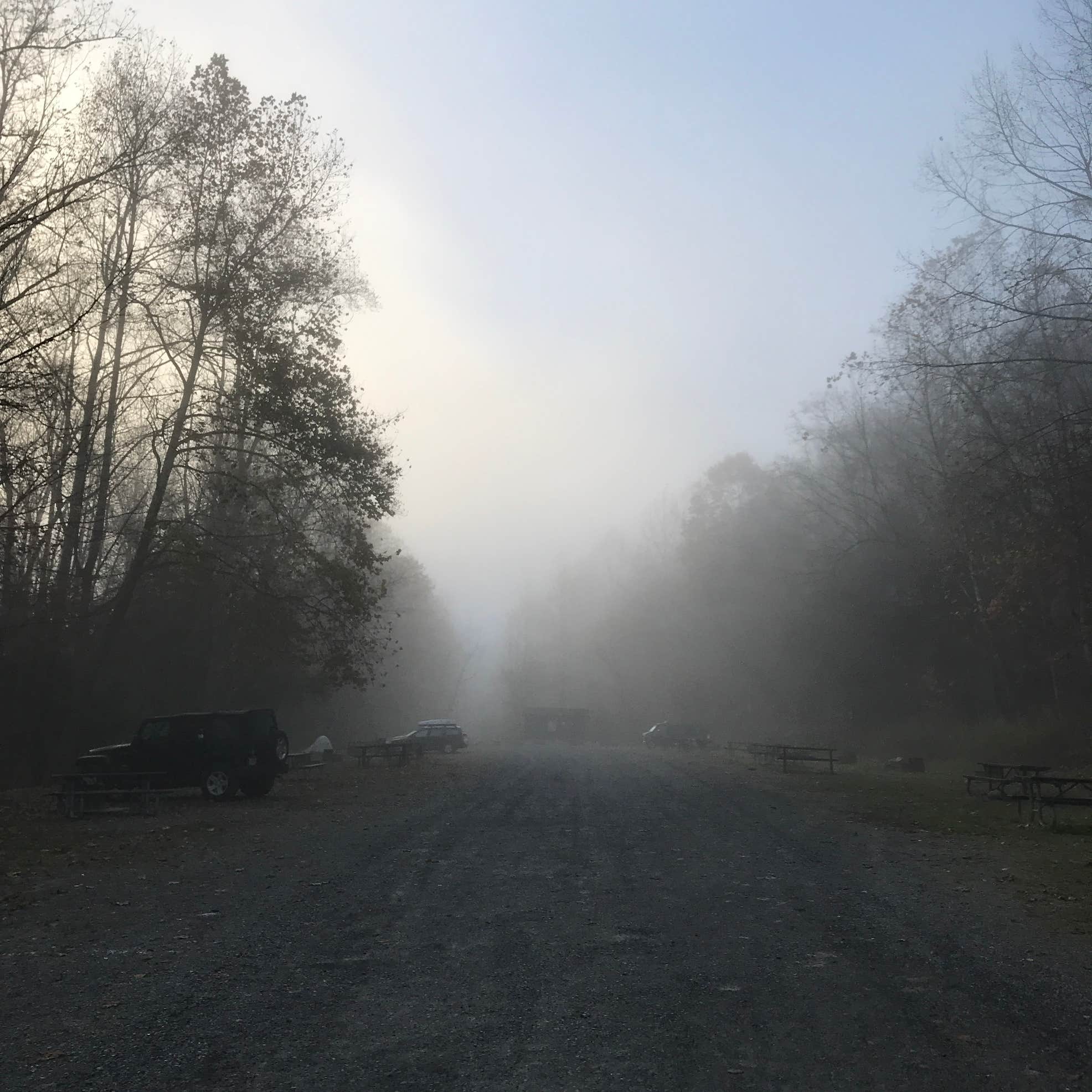 Gauley Tailwaters Campground Camping The Dyrt