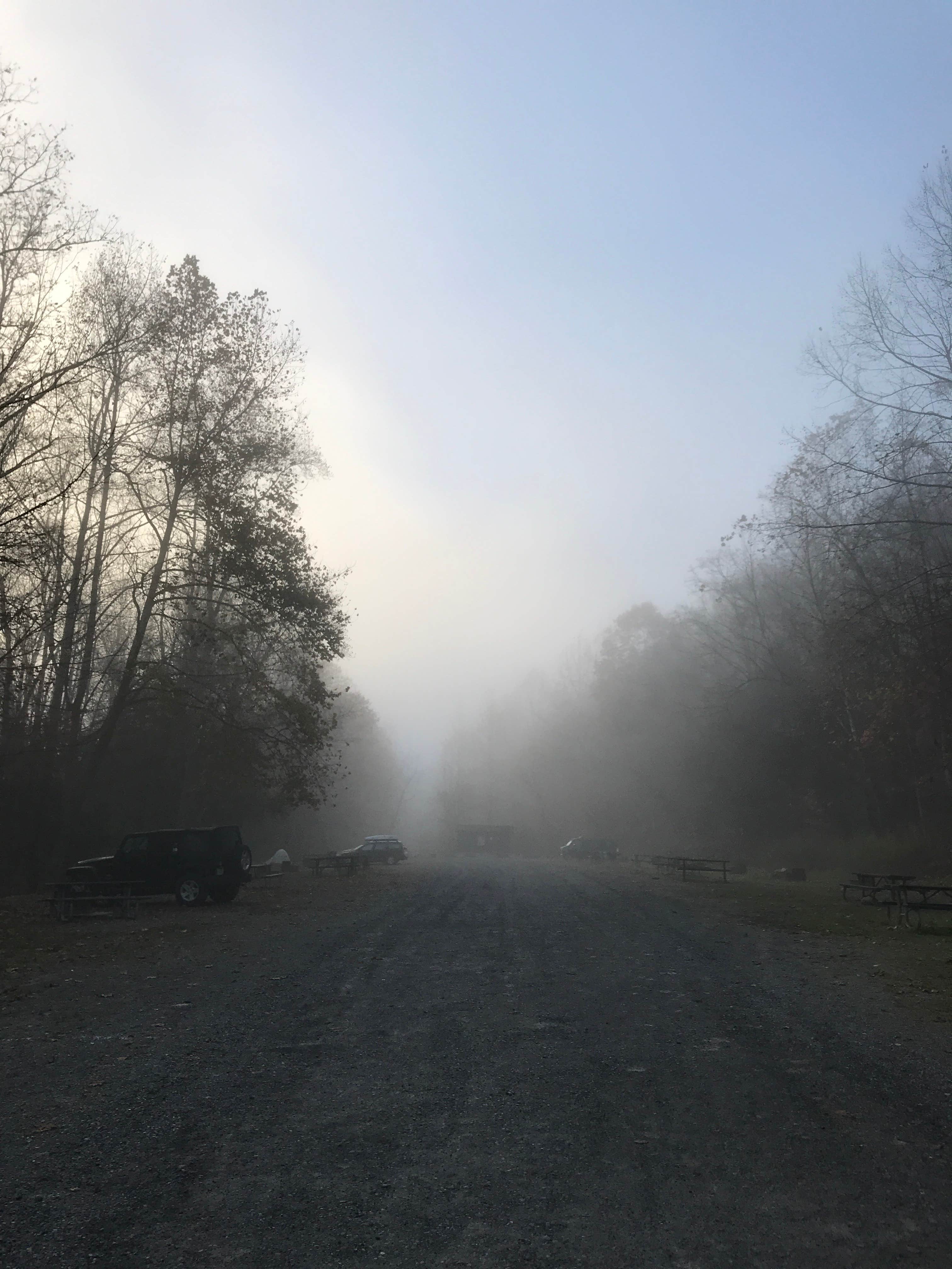 Camper submitted image from Gauley Tailwaters Campground — Gauley River National Recreation Area - 3