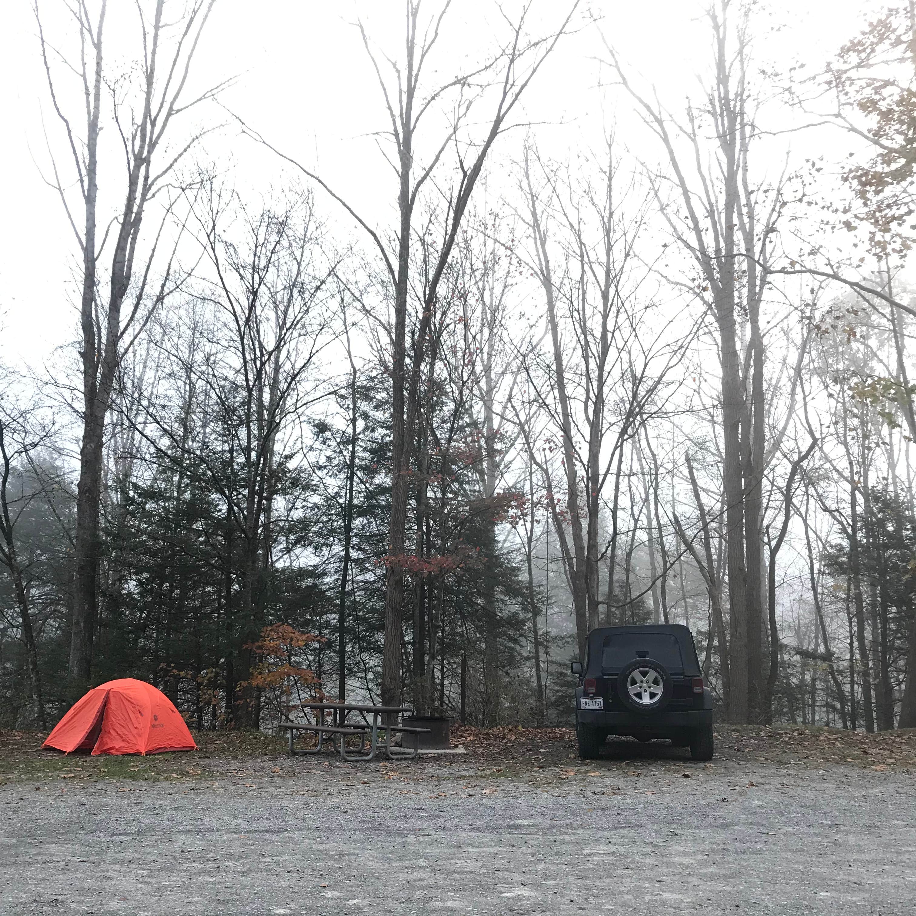 Gauley Tailwaters Campground Camping The Dyrt