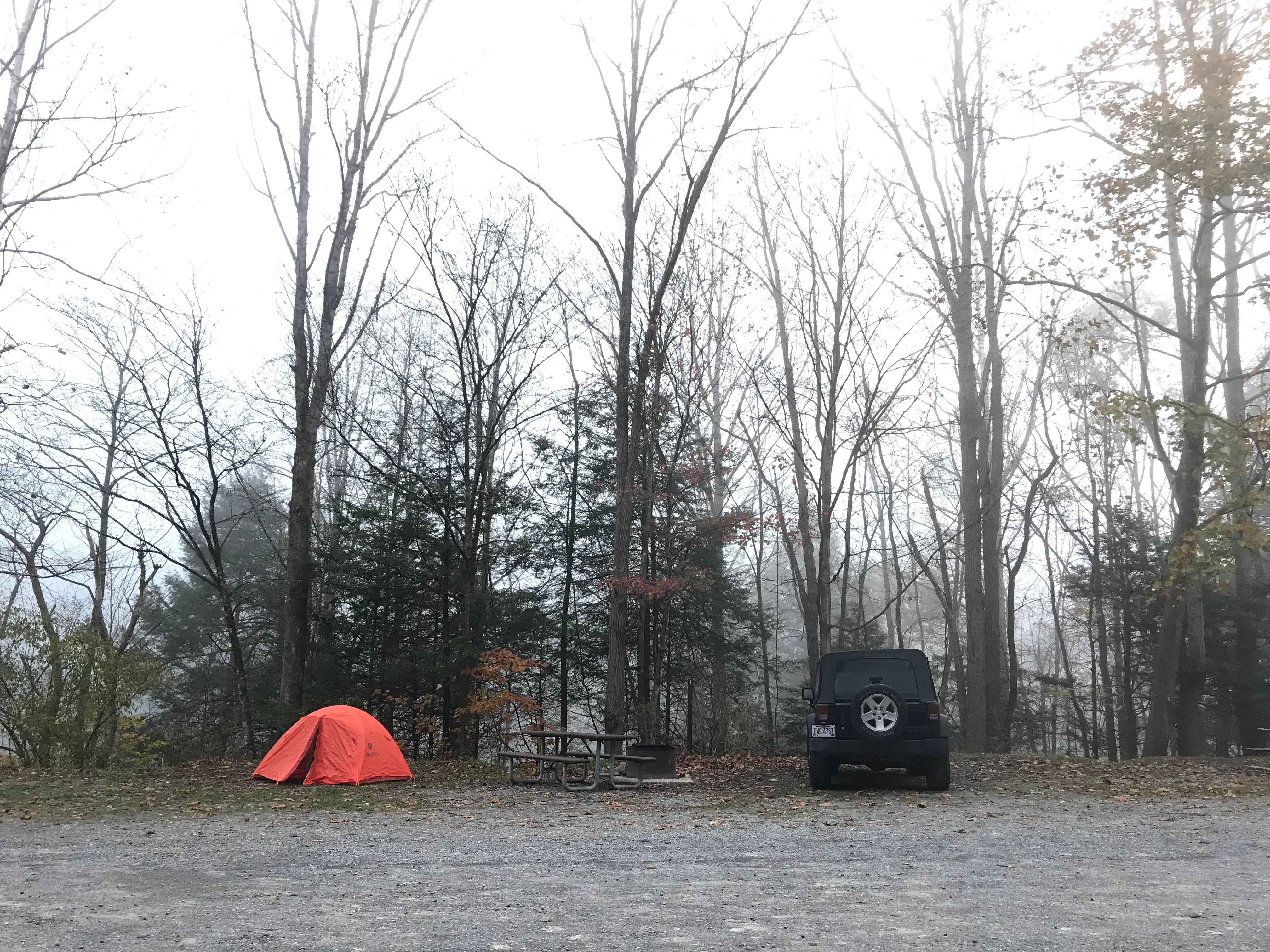 Camper submitted image from Gauley Tailwaters Campground — Gauley River National Recreation Area - 5