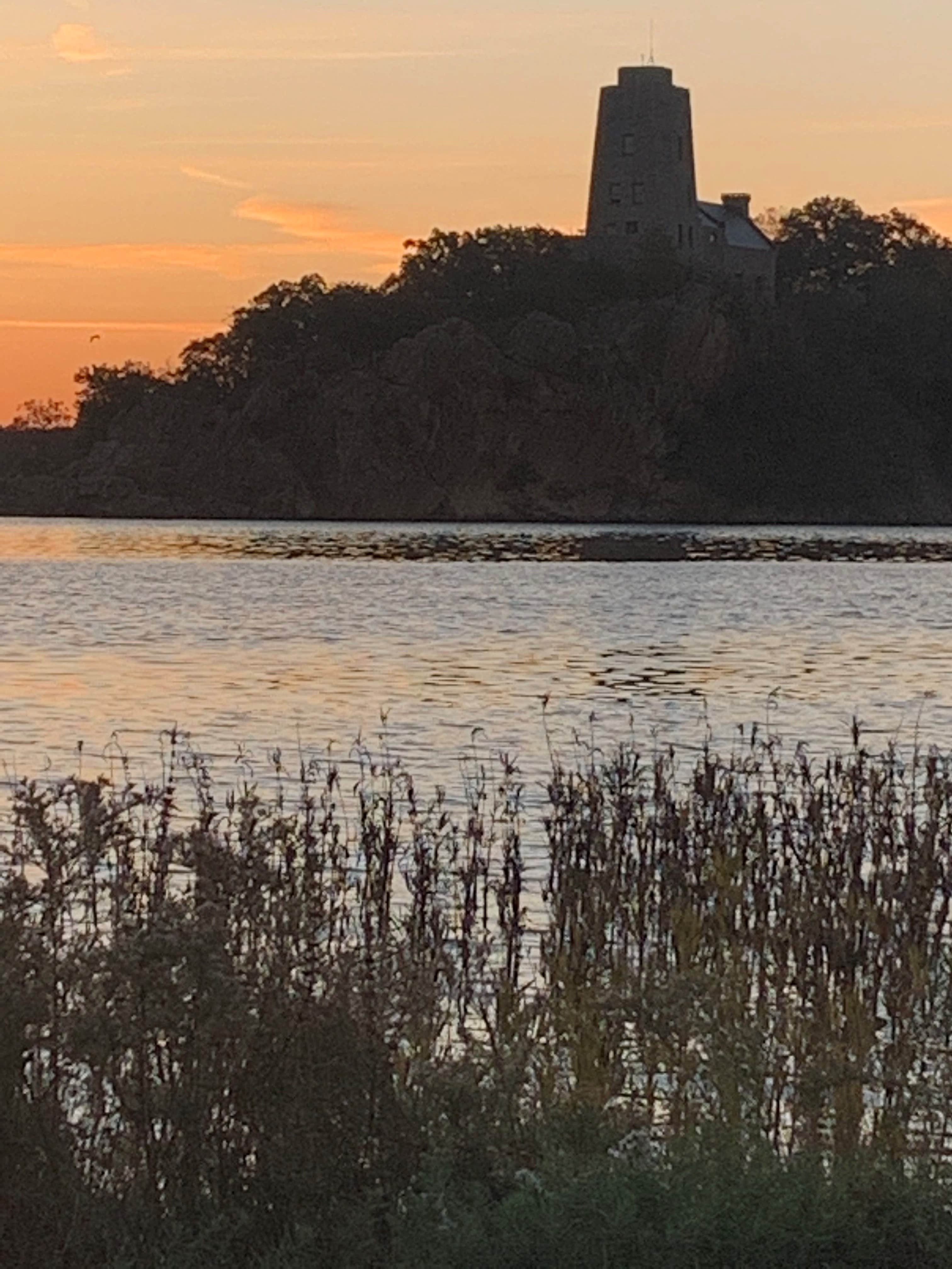 Camper submitted image from Buzzards Roost — Lake Murray State Park - 5